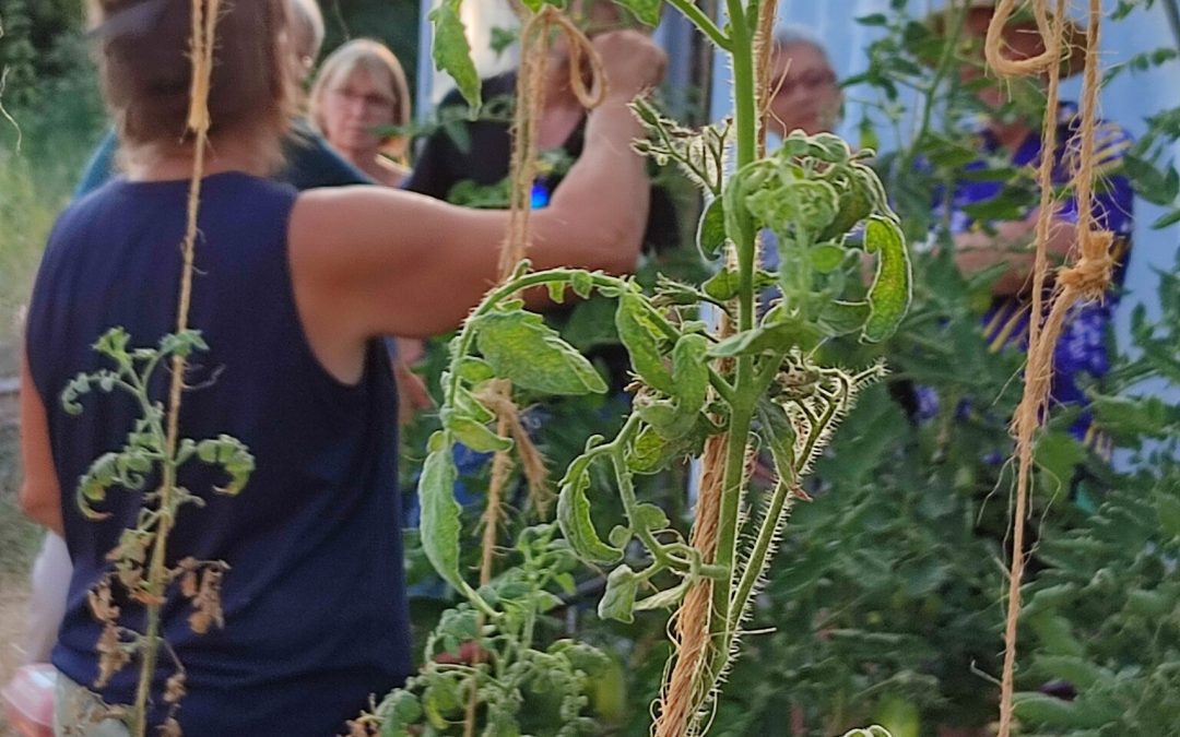 Was wollen wir essen?