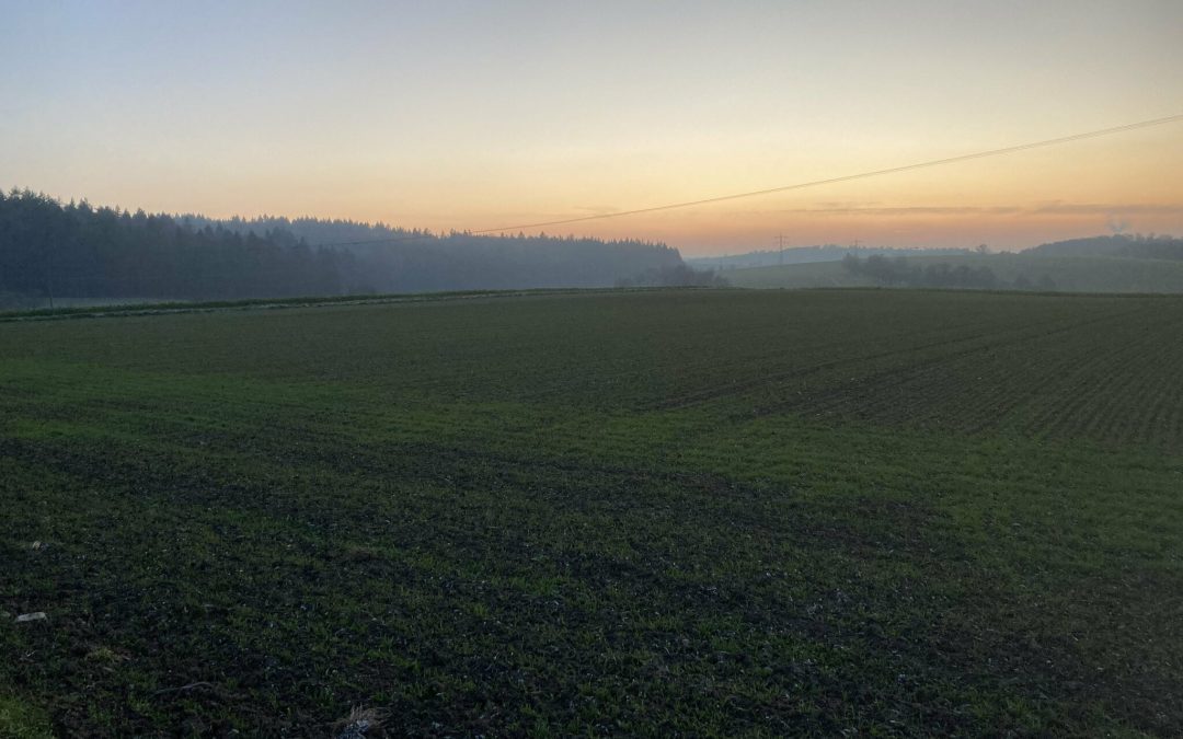 Wohin soll die Reise gehen?